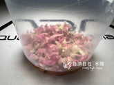 ADA 粉紅針葉柳 Hygrophila lancea 'Chai' IC417